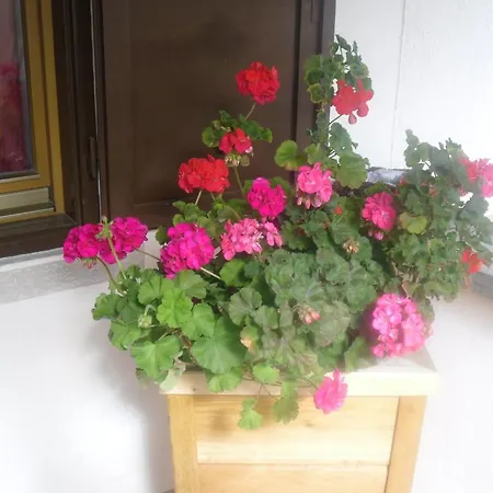 Hotel Garni Margherita Corvara In Badia